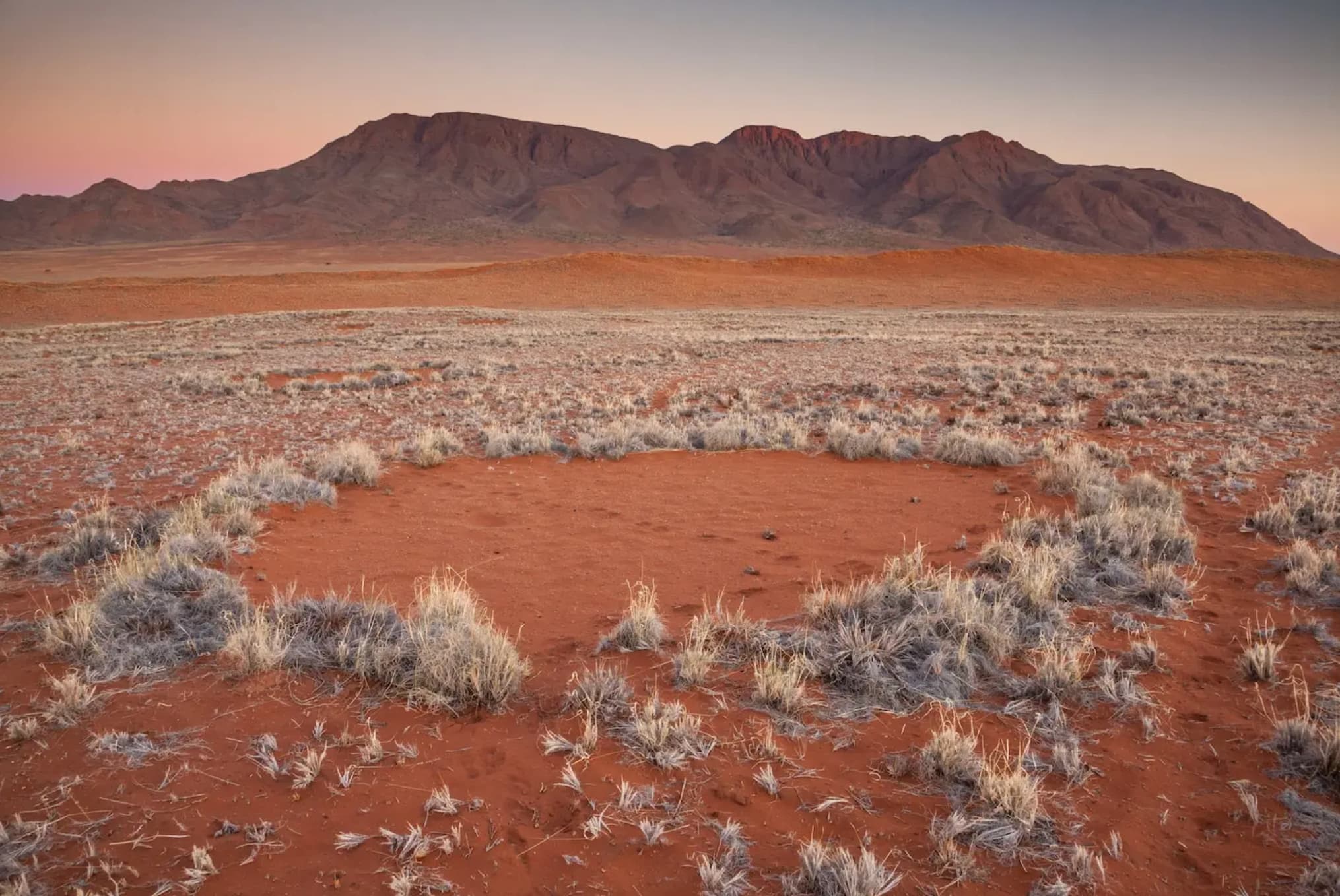 namib desert fairy circles